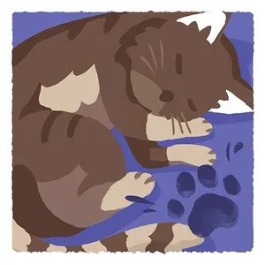 游核