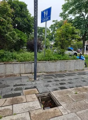 游核