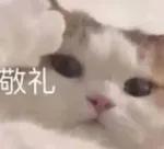 游核
