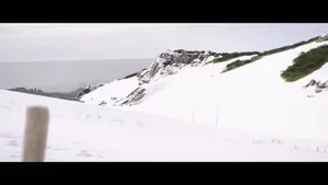 游核