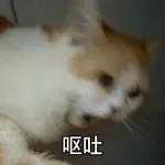 游核