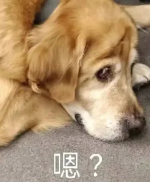 游核