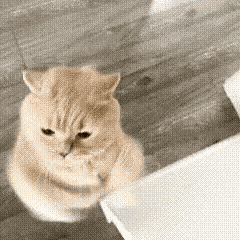 游核