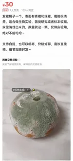 游核