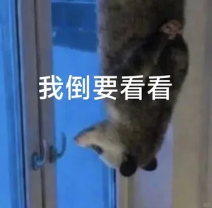 游核