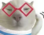 游核