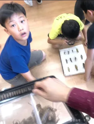 游核