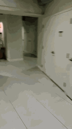 游核