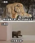 游核
