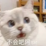 游核