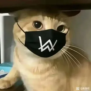 游核