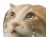 游核