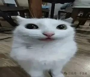 游核