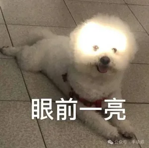游核