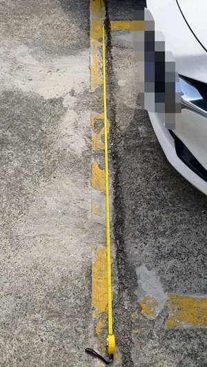 游核