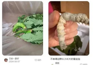 游核