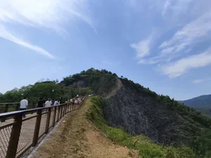游核