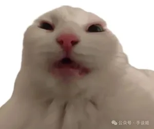 游核