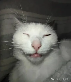 游核