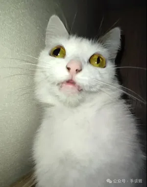 游核