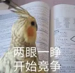 游核