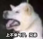游核