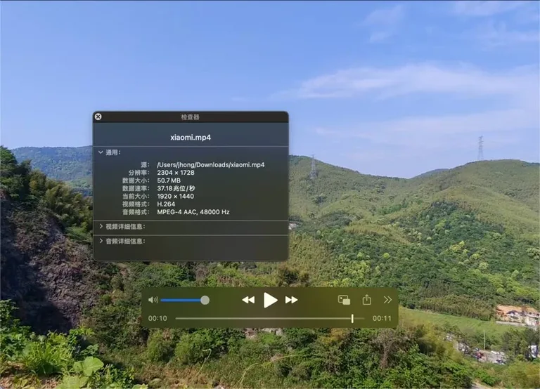 游核