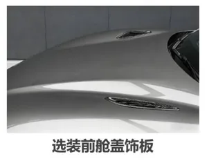 游核