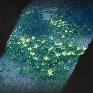 游核