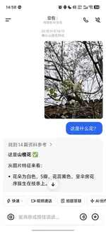 游核