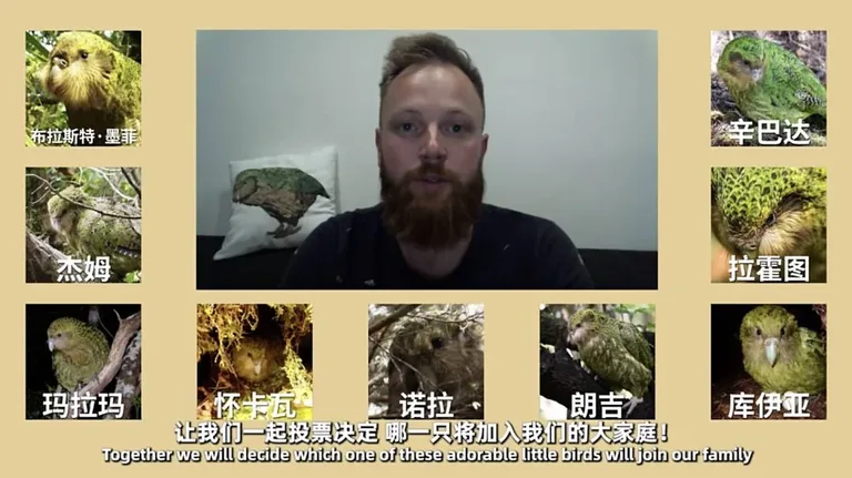 游核