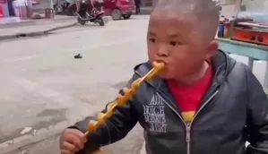 游核
