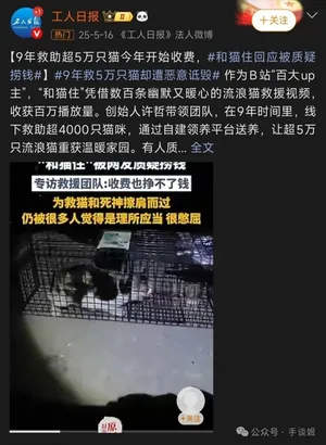 游核