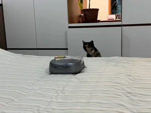 游核