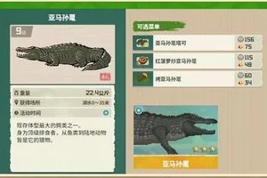 游核