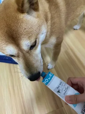 游核
