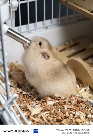 游核