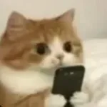 游核