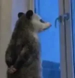 游核