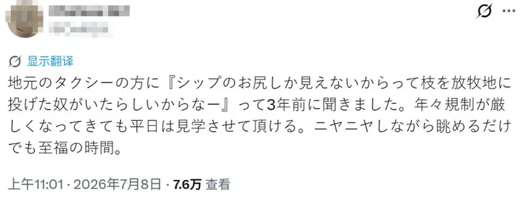 游核