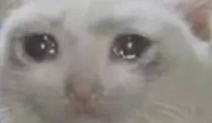 游核