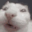 游核
