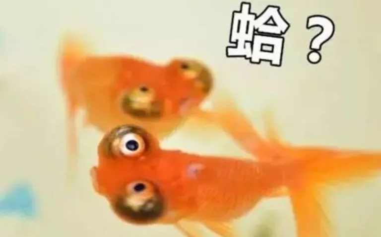 游核