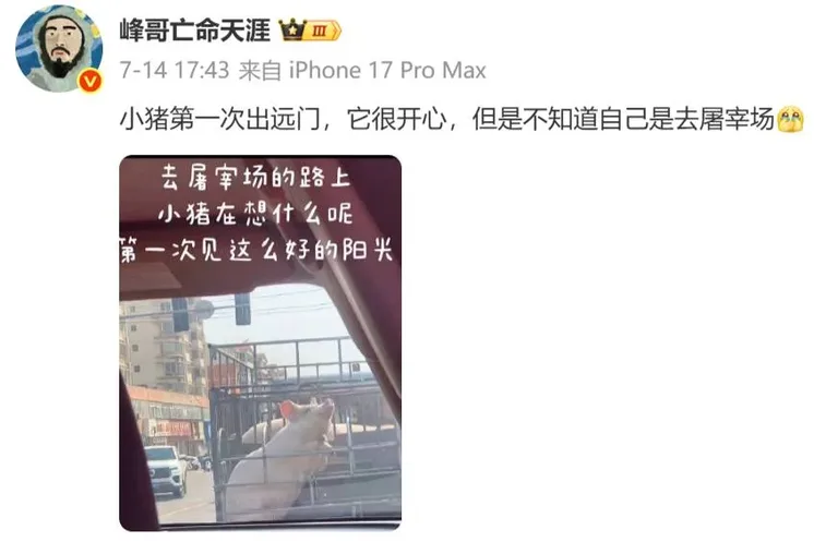 游核