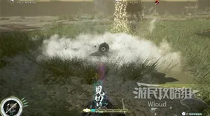 游核