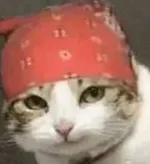 游核