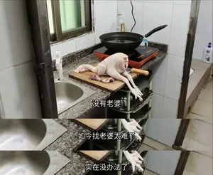 游核