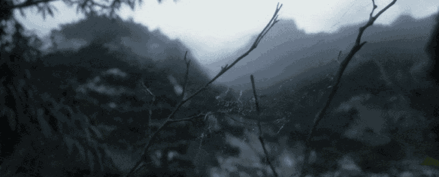 游核