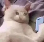 游核