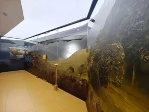 游核
